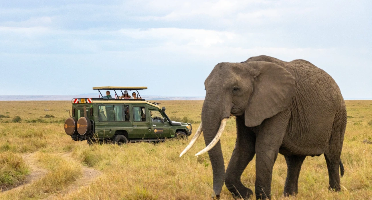 Escape to Mkomazi in A Day Trip.  - Image 3
