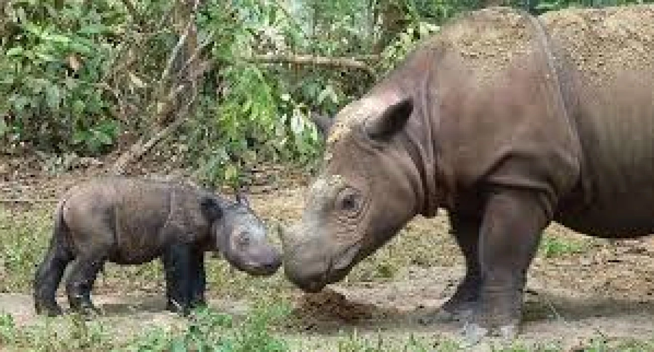 Escape to Mkomazi in A Day Trip.  - Image 1