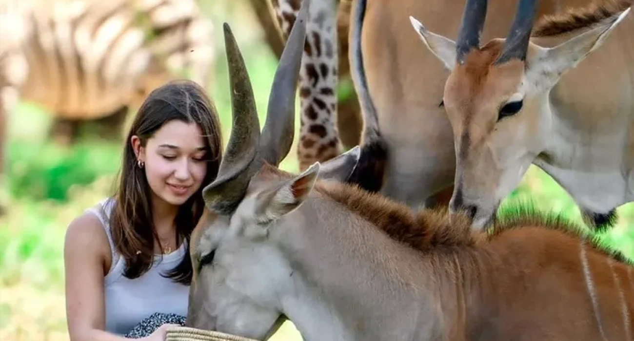 Serval Wildlife Experiences