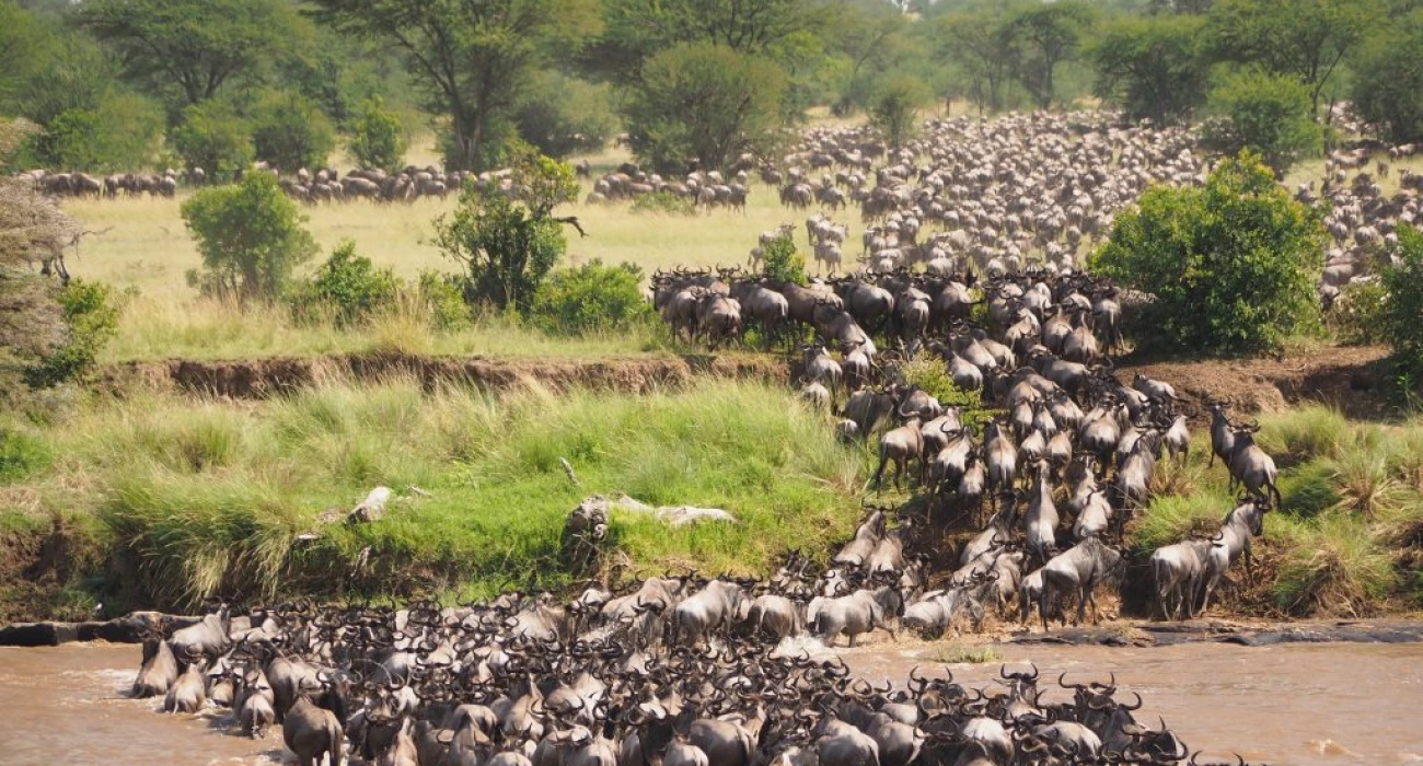 Four Season Serengeti Lodge