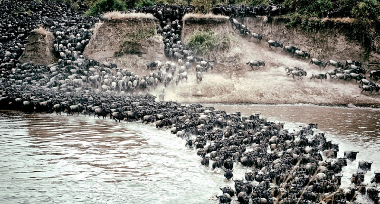The Ultimate Savannah Photography Expedition. - Image 1