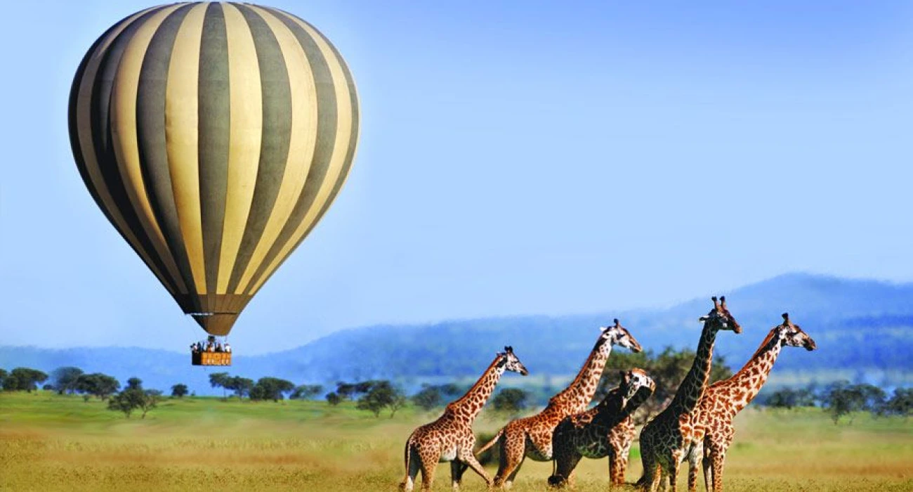 Tanzania's Ultimate Honeymoon Safari And Zanzibar Retreat. - Image 1