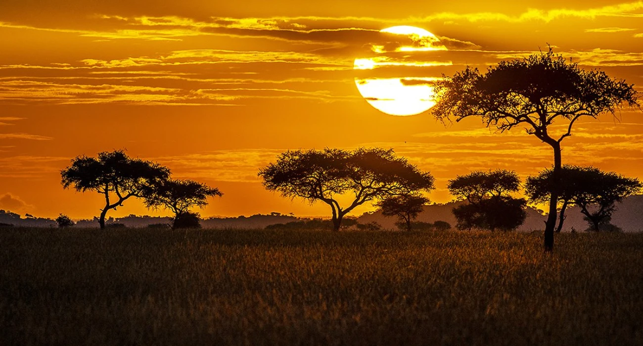 Arusha City Tanzania