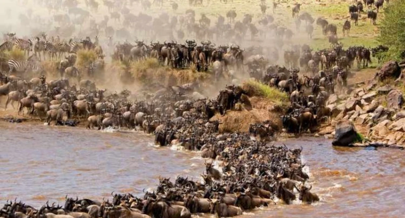 Your Bespoke Honeymoon Safari in Tanzania. - Image 3